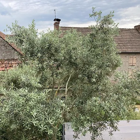 Location Des Pyrenees *